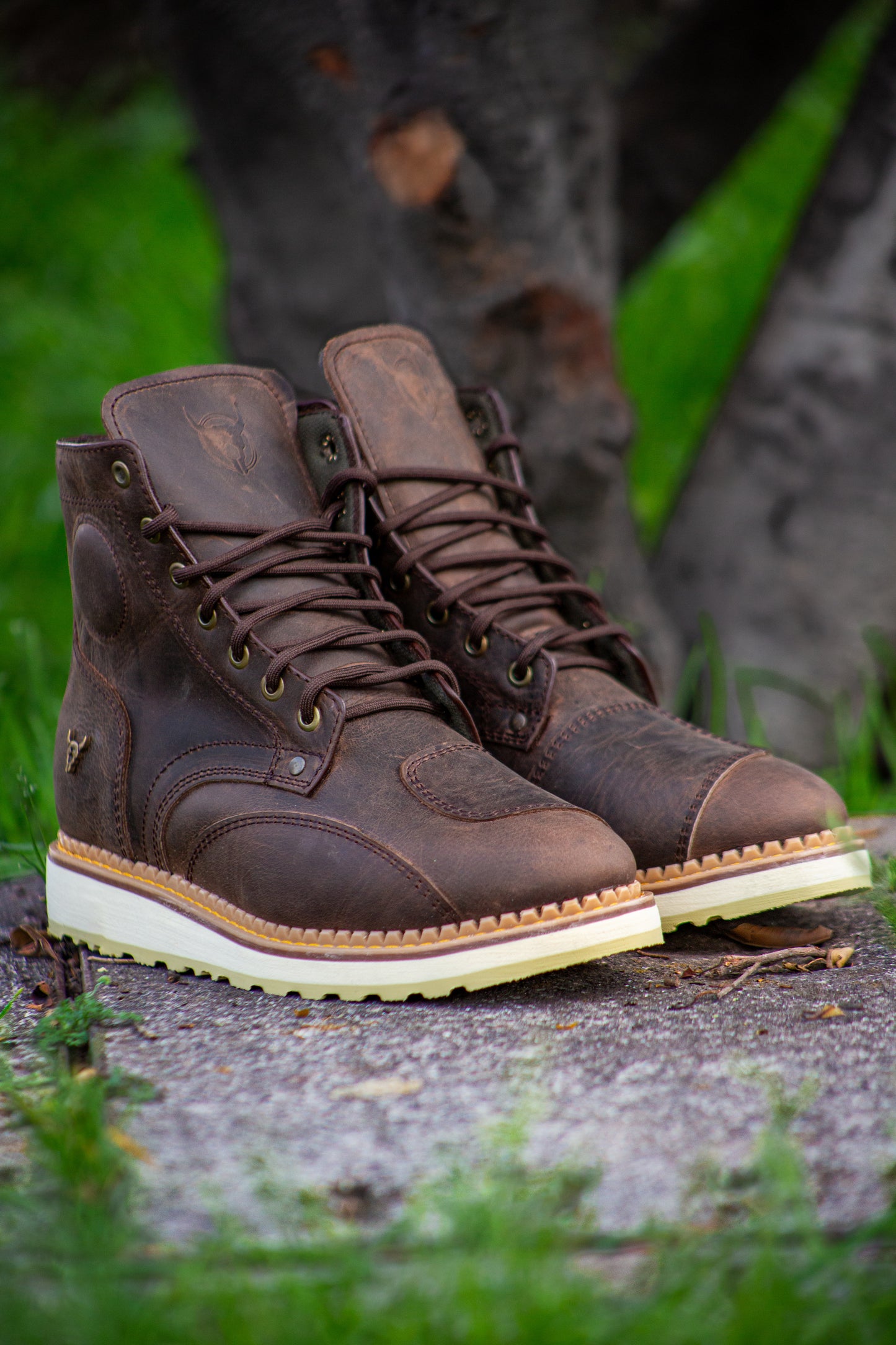 Urban Biker Testa Di Moro