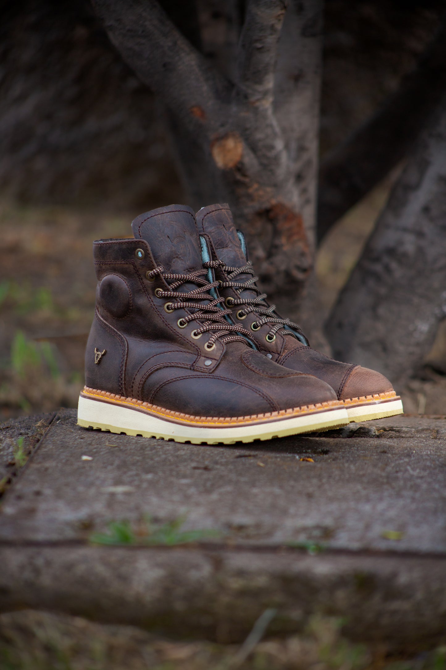 Urban Biker Testa Di Moro